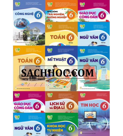Trọn bộ sách bài tập 6 - Bộ Kết nối tri thức với cuộc sống